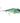 Rapala Sarda 22 - Bigeye Scad [SD22BSCD]
