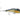 Rapala Sarda 22 - Sailfish UV [SD22SFU]